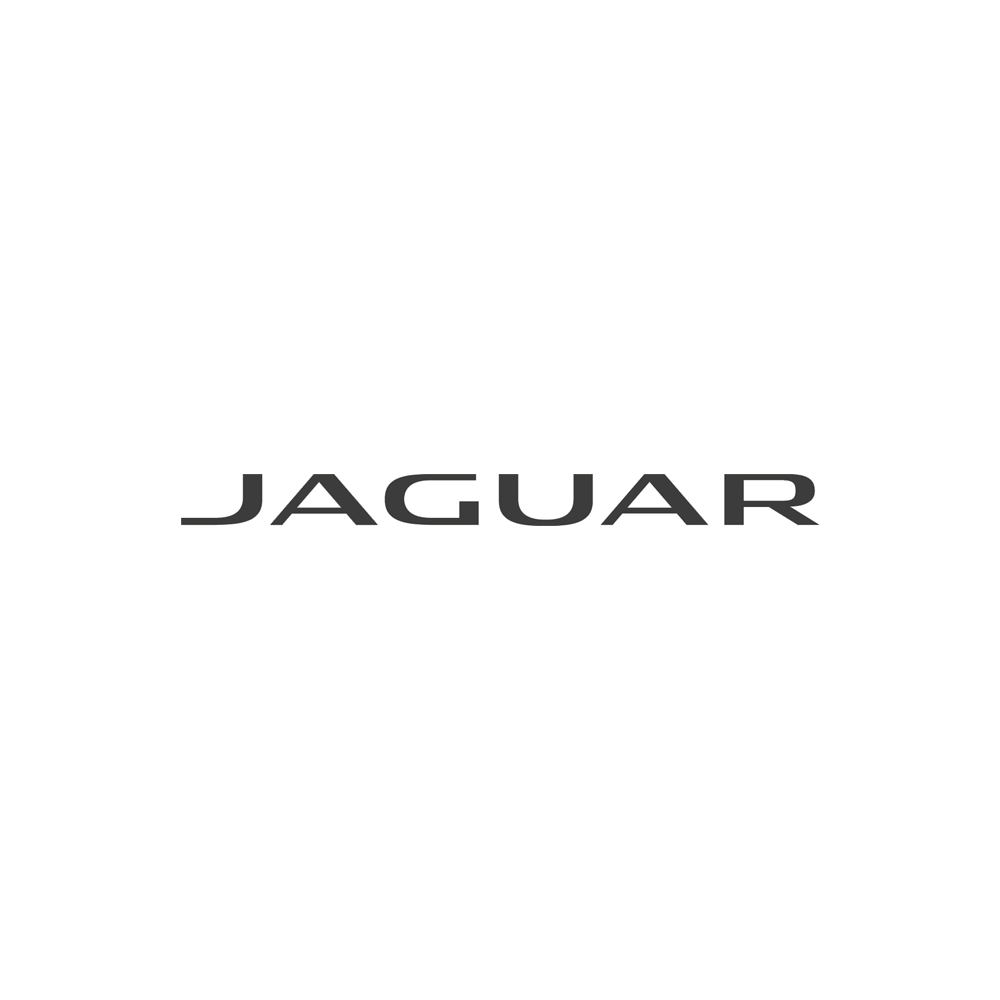 Original Jaguar Keychain